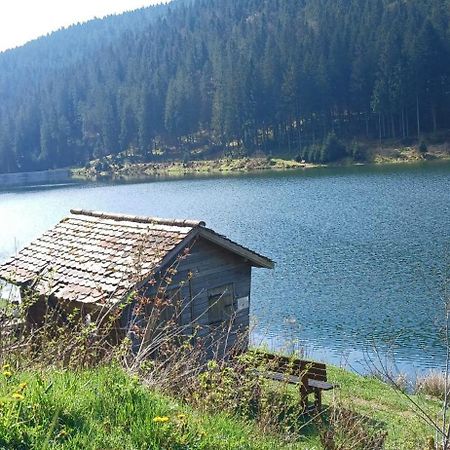 Outdoor & Relax Blackforest Neukirch  المظهر الخارجي الصورة
