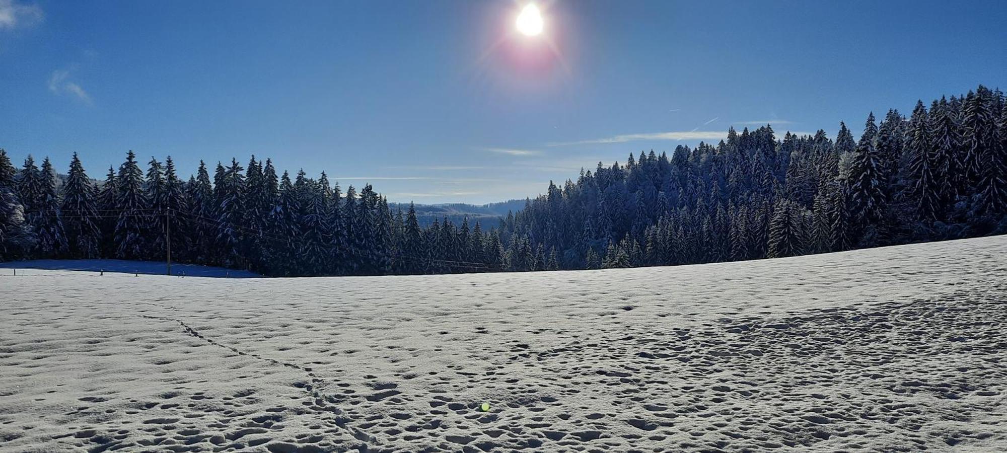Outdoor & Relax Blackforest Neukirch  المظهر الخارجي الصورة