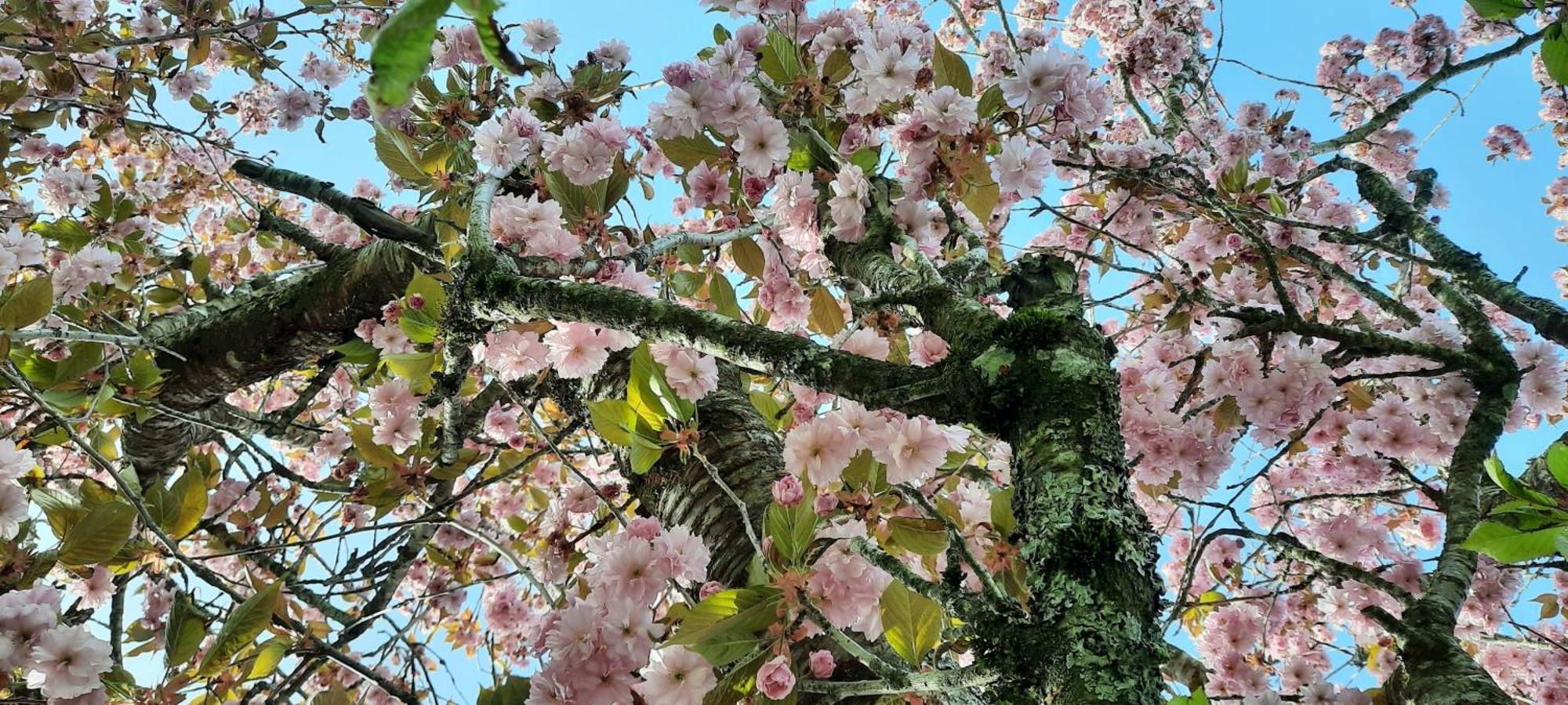 Outdoor & Relax Blackforest Neukirch  المظهر الخارجي الصورة