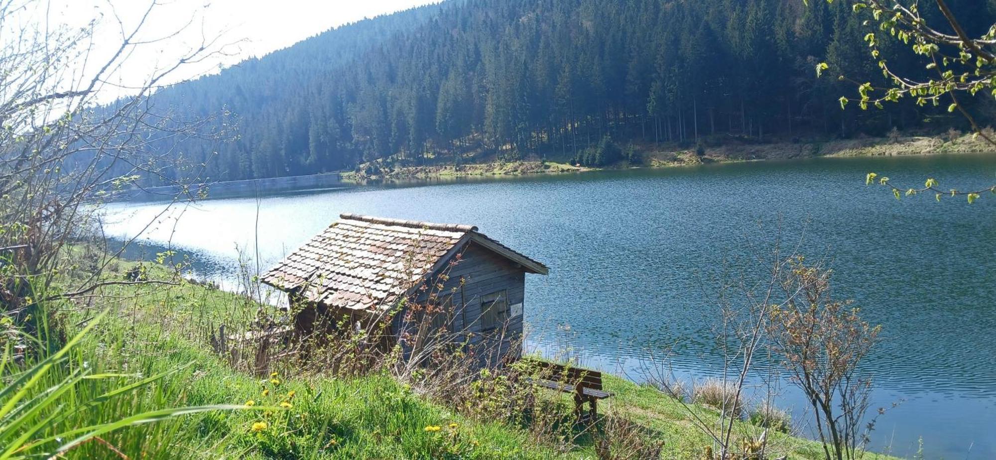 Outdoor & Relax Blackforest Neukirch  المظهر الخارجي الصورة