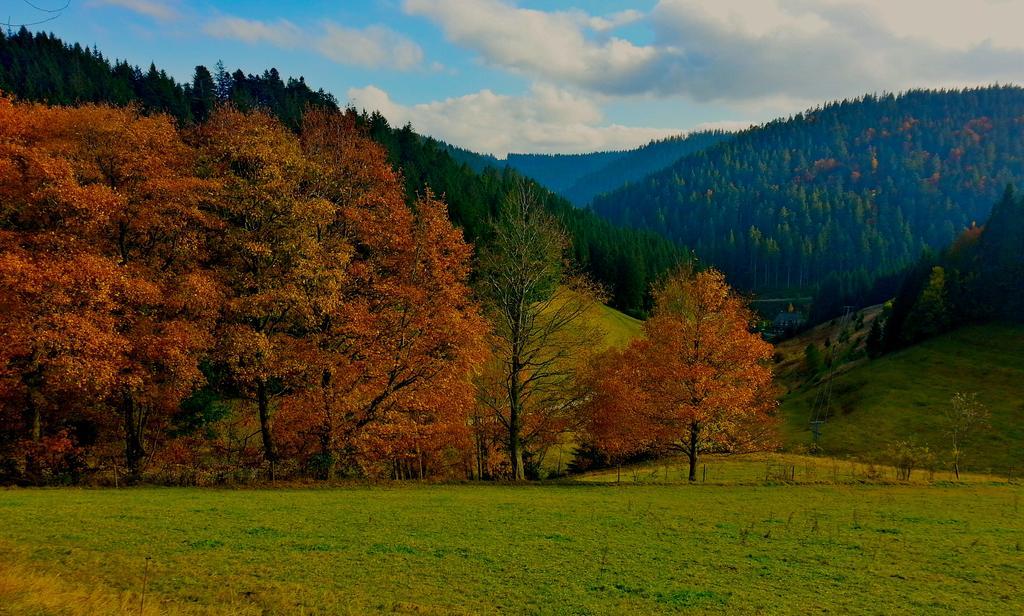 Outdoor & Relax Blackforest Neukirch  المظهر الخارجي الصورة