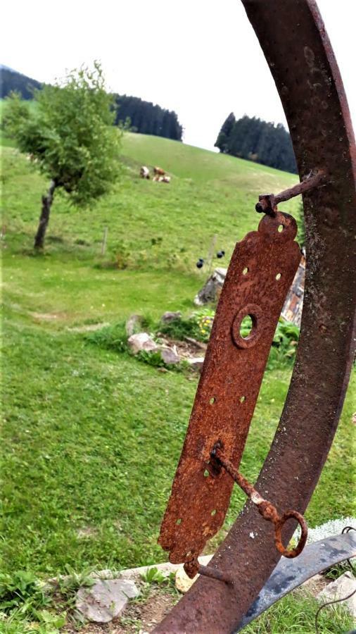 Outdoor & Relax Blackforest Neukirch  المظهر الخارجي الصورة
