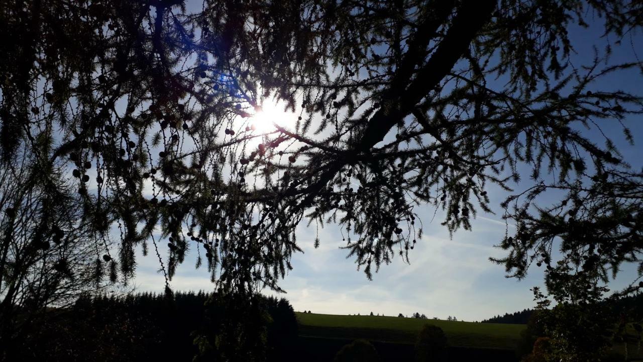 Outdoor & Relax Blackforest Neukirch  المظهر الخارجي الصورة
